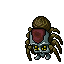 Cave Tarantula