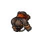 Gorongra