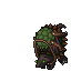 Swamp Snapper