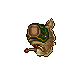 Tiger Slug